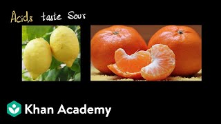 Litmus solution Natural indicator  Acids bases and salts  Chemistry  Khan Academy [upl. by Dela]