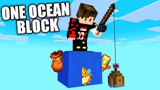 I Survived 100 Days on ONE OCEAN BLOCK in Hardcore Minecraft [upl. by Fox837]