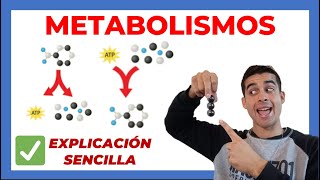 Qué es el METABOLISMO 🧬 explicado CATABOLISMO y ANABOLISMO [upl. by Hacissej]