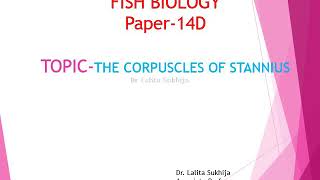 Corpuscles of Stannius in Fishes by Dr Lalita Sukhija [upl. by Barrington]