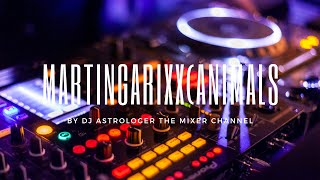 Martin Garrix Mix New Best Songs  DJ Astrologer Animals songs by Martin garrixdj Astrologer [upl. by Appilihp]