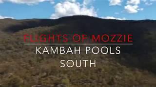 Flights of Mozzie  Kambah Pool [upl. by Mungo]