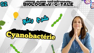 Biologie Végétale en Arabe les Cyanobactérie en Arabe SVI S2 [upl. by Llednyl]