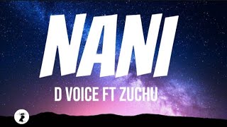 D Voice  Nani ft Zuchu lyrics [upl. by Carisa]