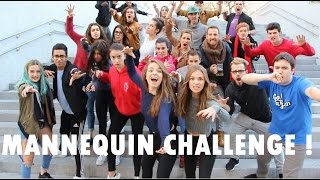 BEST MANNEQUIN CHALLENGE IN PUBLIC   MannequinChallenge [upl. by Hsu176]