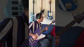 SixxAM  Life is Beautiful Bass Cover thunderbirdbass epiphone nikkisixx [upl. by Danila]