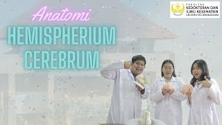 Pembagian Umum Systema Nervosum dan Hemispherium Cerebri [upl. by Zirtaeb430]