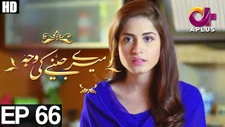 Meray Jeenay Ki Wajah  EP 66  Aplus  Bilal Qureshi Hiba Ali Faria Sheikh  C4I1 [upl. by Winston]