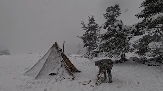 Hot Tent Camping with my Dog in Snow and Freezing Winter Conditions [upl. by Martel]