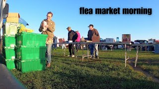 Flea Market In The Fall  Shop amp Sell With Me [upl. by Arahsat523]