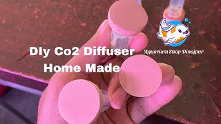 Diy co2 Diffuser 2024 How to make co2 diffuser DIY aquariumshopdinajpur [upl. by Dodie]