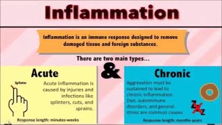 Inflammation lecture with pathophysiology [upl. by Notnilk]