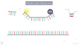 Try Molecular Beacons for your multiplex assay [upl. by Enitsirt677]