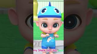 The Baby Shark Family 💖🦈👏 shorts babyshark nurseryrhymes 2 [upl. by Buke334]