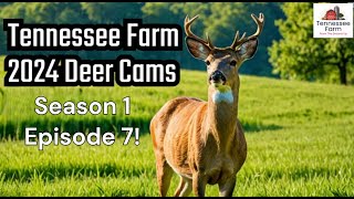 Tennessee Farm 2024 Deer Cams Season 1 Episode 7 [upl. by Winstonn]