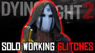 Dying Light 2 Working Solo Glitches Patch 118 [upl. by Chappy468]