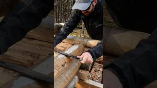 Off Grid Cabin Build Alaska alaska offgridcabin cabinbuild logcabin [upl. by Christi]