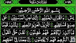 Surah Yaseen Surah Rahman  Best Quran Recitation Surah Mulk  Surah Yasin full Quran Tilawat [upl. by Funk]