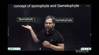 what is sporophyte and gametophyte animationsankalpbharat [upl. by Vigen]