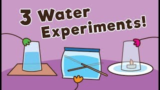 3 Easy Water Experiments for Kids [upl. by Annawik]