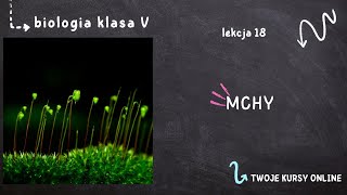 Biologia klasa 5 Lekcja 18  Mchy [upl. by Ylreveb]