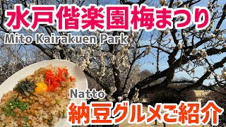 水戸偕楽園梅まつりと納豆グルメ！2024年の開花状況は？水戸納豆グルメを堪能！ [upl. by Annoyt167]