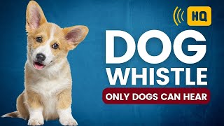 Dog Whistle 🐕 High Pitch Sound 🐕 Dog Whistle That Only Dogs Can Hear [upl. by Buller]