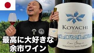 衝撃を受けた余市ワイン、ラン・セッカさんのパスグラ！ ゆきおとワイン618「Lan Seqqua KOYACHI Passetoutgrain 2022」 [upl. by Htebzile]