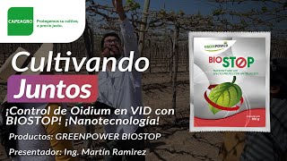 ¡Control de Oidium en VID con BIOSTOP ¡Nanotecnología [upl. by Pillsbury39]