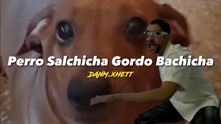 PERRO SALCHICHA GORDO BACHICHA  BAD BUNNY IA  LETRA [upl. by Krystin]