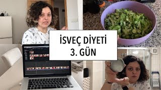 VLOG  İsveç Diyeti 3 Gün Market Alışverişi Saç Peelingi Yaptım [upl. by Katherin]