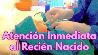 ATENCIÓN INICIAL DEL RECIÉN NACIDO👌👩‍⚕️ procedimiento enfermeria atencioninalreciennacido [upl. by Irim]