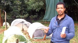 Kenyan Biogas system interview with Dominic Wanjihia [upl. by Eniledgam]