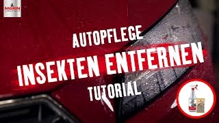 Autopflege Tutorial Insekten vom Auto entfernen [upl. by Ramey]