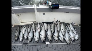 Fishing Report Aug 1 Ludington Michigan [upl. by Ahsoj452]