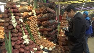 Hundreds flock to yearly potato festival in Peru [upl. by Nealy]