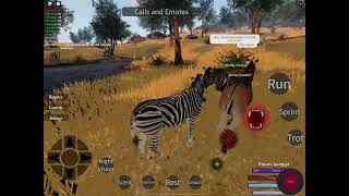 Roblox Cenozoic Survival The Quagga herd May 6 2022 [upl. by Elam]