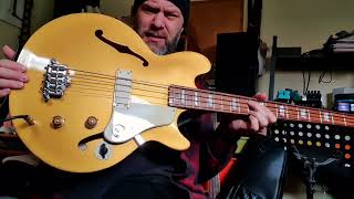 Epiphone Jack Casady Bass Demo [upl. by Ardnoed]