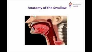 Stroke Education  Dysphagia [upl. by Smitty]