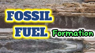 How Fossil Fuels are Formed [upl. by Nosemaj]