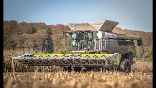 Neuer Claas Trion in der Maisernte  Erlkönig  Claas Lexion 8800 TT  Corn Harvester  Trailer [upl. by Hamitaf351]