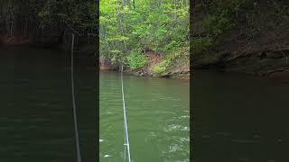 Lake Lanier Topwater Is Best in Slow Motion [upl. by Norris]