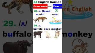 44 English Sounds 3  Consonants and Vowels [upl. by Ritz935]