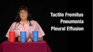 Tactile Fremitus Cups Demonstration [upl. by Helali967]