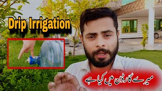 How To Make Garden At Home  Water efficient Garden [upl. by Ecyak842]