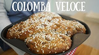 Colomba di Pasqua veloce  Ricetta con gocce di cioccolato [upl. by Ylrebmek]