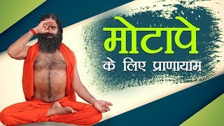 मोटापे Obesity के लिए प्राणायाम  Swami Ramdev [upl. by Aniratak]