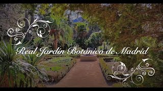 Real Jardín Botánico RJBCSIC para no botánicos Invierno versión breve [upl. by Nuawad]