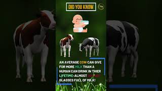 facts about cow milk facts shorts [upl. by Nyrrad]