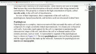 3 peptidoglycan layer  Gram positive bacteria بالعربي [upl. by Neomah482]